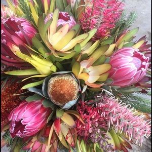 Meet your Posher, Marci